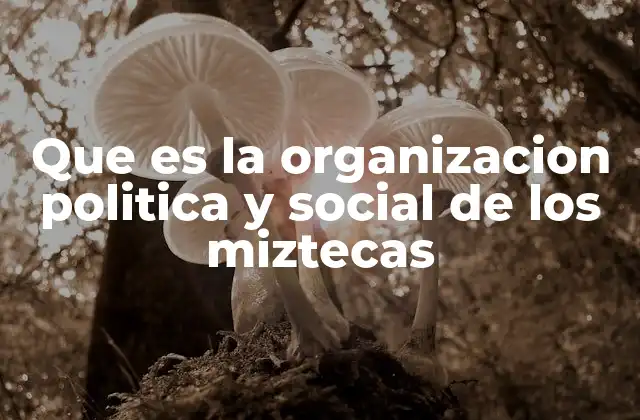 Que es la Organizacion Politica y Social de los Miztecas