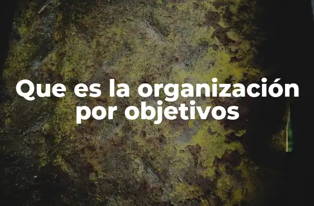 Que es la Organización por Objetivos