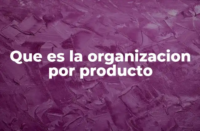 Que es la Organizacion por Producto