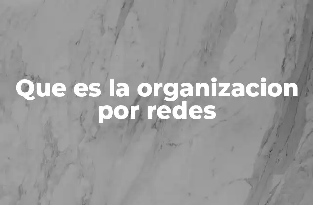 Que es la Organizacion por Redes