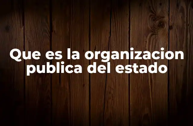 Que es la Organizacion Publica Del Estado