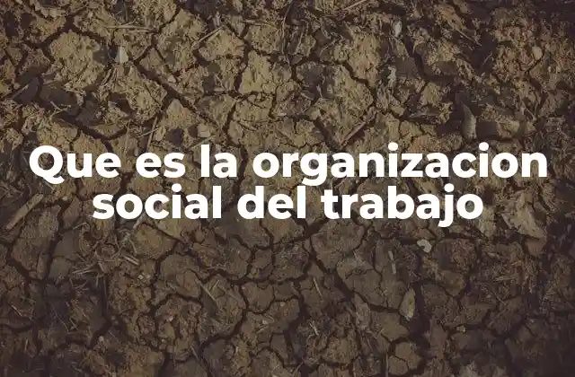 Que es la Organizacion Social Del Trabajo