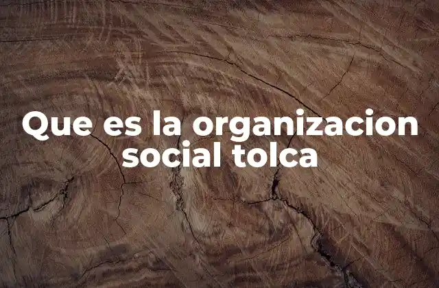 Que es la Organizacion Social Tolca