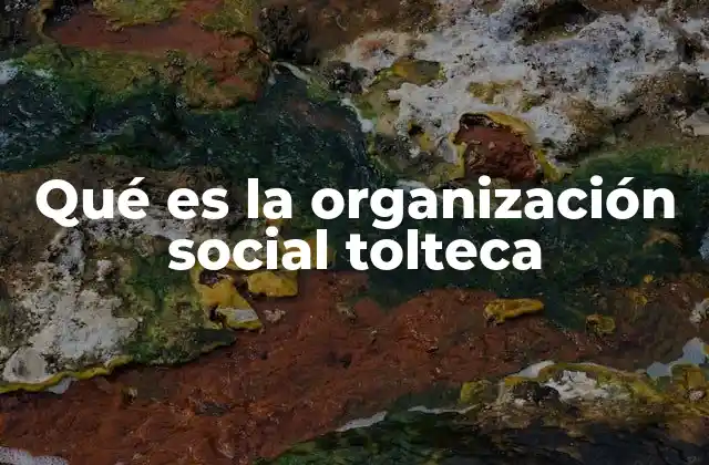 Qué es la Organización Social Tolteca