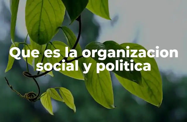 Que es la Organizacion Social y Politica