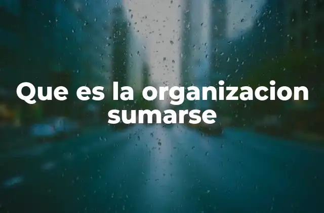 Que es la Organizacion Sumarse