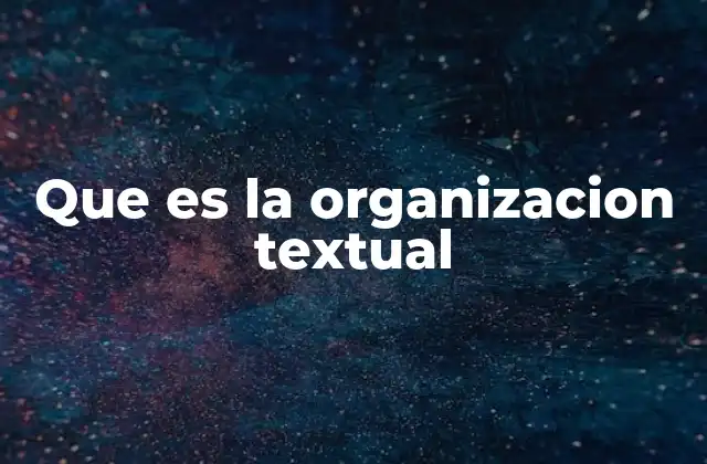Que es la Organizacion Textual