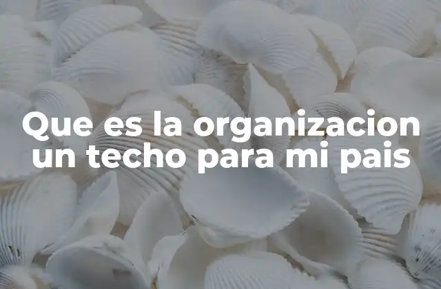 Que es la Organizacion un Techo para Mi Pais