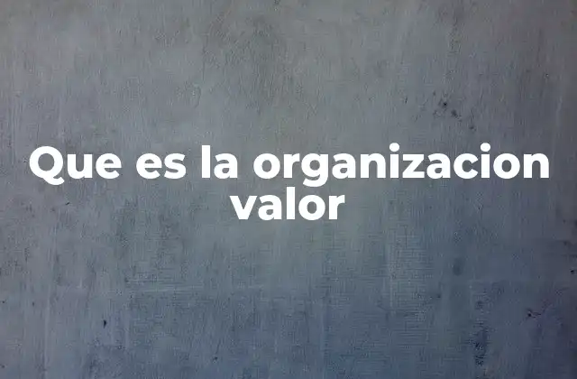 Que es la Organizacion Valor
