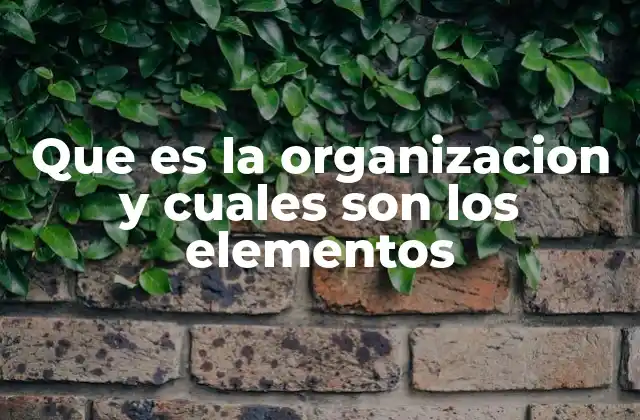 Que es la Organizacion y Cuales Son los Elementos
