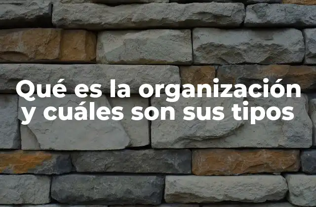 Qué es la Organización y Cuáles Son Sus Tipos