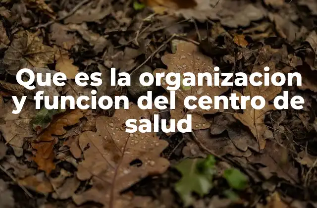 Que es la Organizacion y Funcion Del Centro de Salud