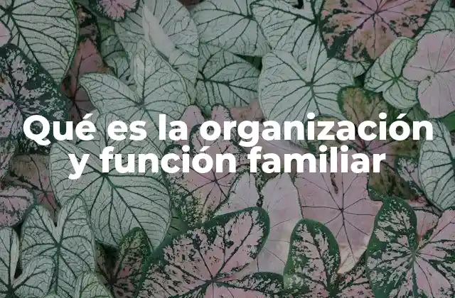 Qué es la Organización y Función Familiar