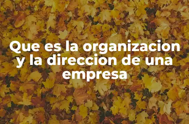 Que es la Organizacion y la Direccion de una Empresa