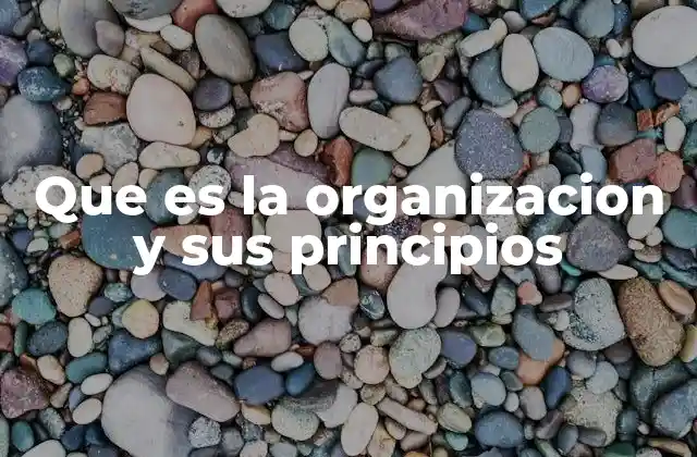 Que es la Organizacion y Sus Principios