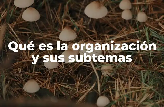 Qué es la Organización y Sus Subtemas