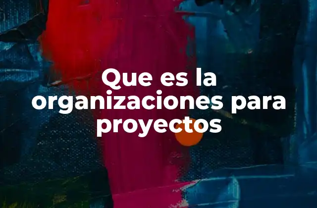 Que es la Organizaciones para Proyectos