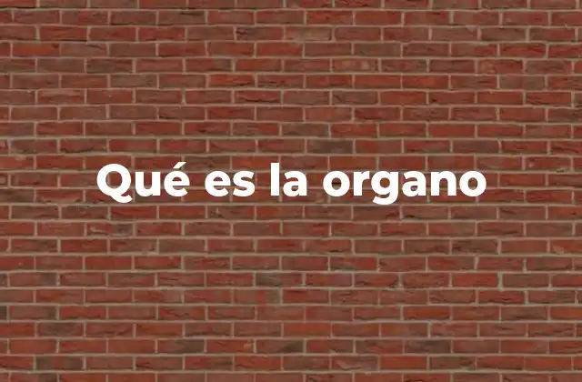 Qué es la Organo