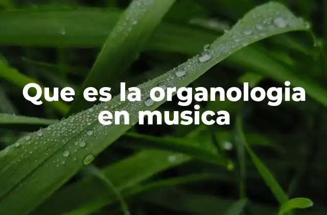 Que es la Organologia en Musica