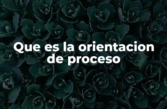 Que es la Orientacion de Proceso