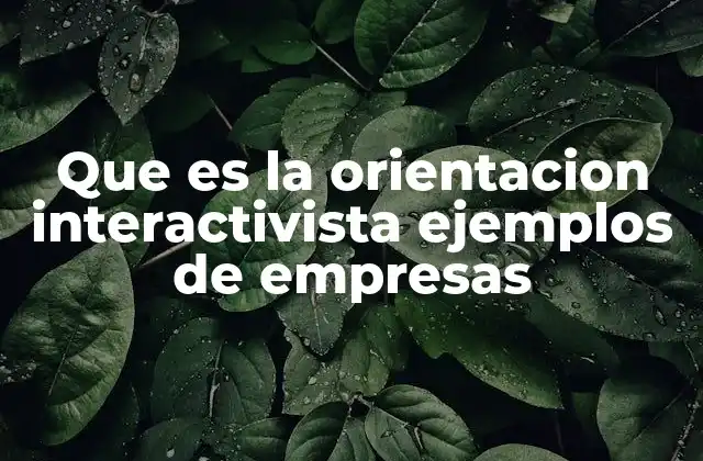 Que es la Orientacion Interactivista Ejemplos de Empresas