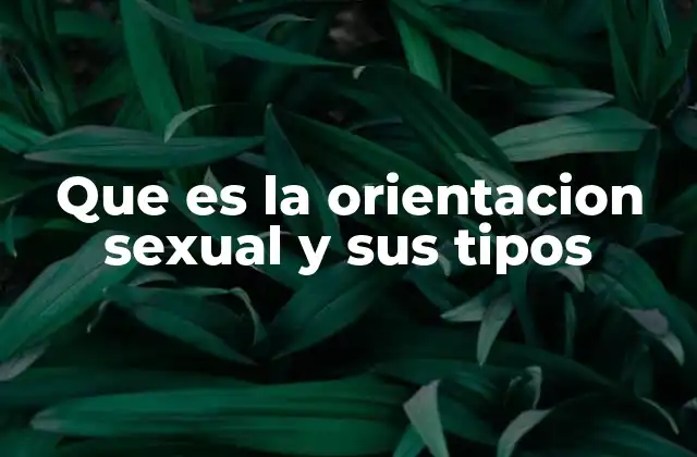 Que es la Orientacion Sexual y Sus Tipos