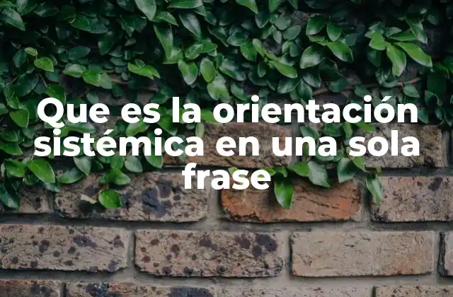 Que es la Orientación Sistémica en una Sola Frase 2 La mirada integral de los sistemas sociales