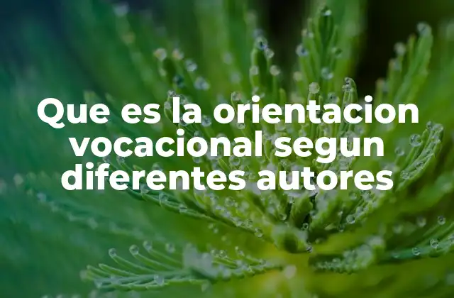 Que es la Orientacion Vocacional Segun Diferentes Autores