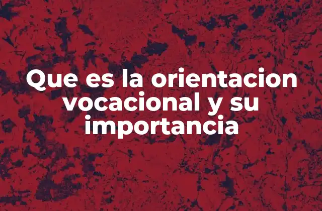 Que es la Orientacion Vocacional y Su Importancia