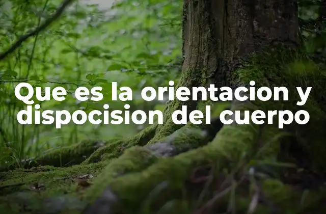 Que es la Orientacion y Dispocision Del Cuerpo