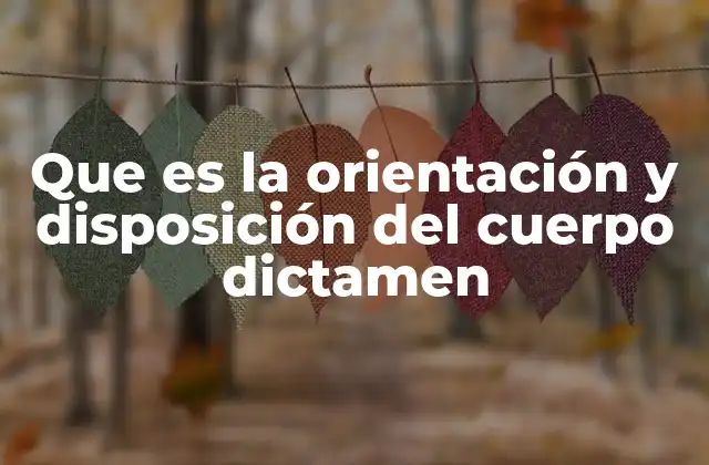Que es la Orientación y Disposición Del Cuerpo Dictamen
