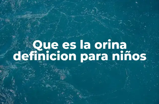 Que es la Orina Definicion para Niños