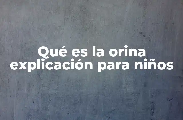 Qué es la Orina Explicación para Niños