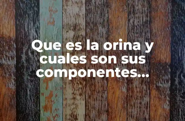 Que es la Orina y Cuales Son Sus Componentes Principales