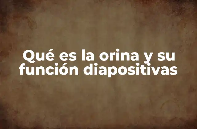 Qué es la Orina y Su Función Diapositivas