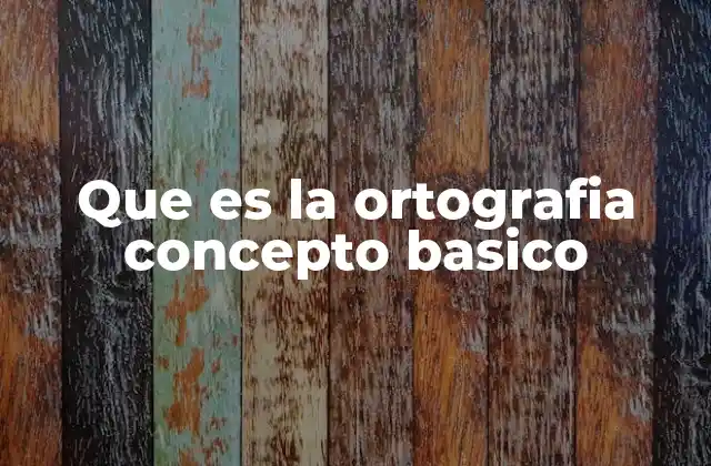 Que es la Ortografia Concepto Basico