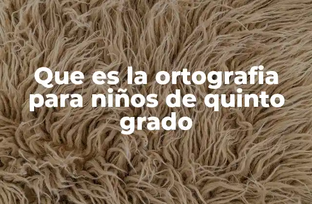 Que es la Ortografia para Niños de Quinto Grado