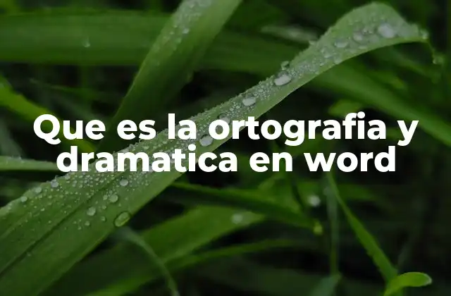 Que es la Ortografia y Dramatica en Word