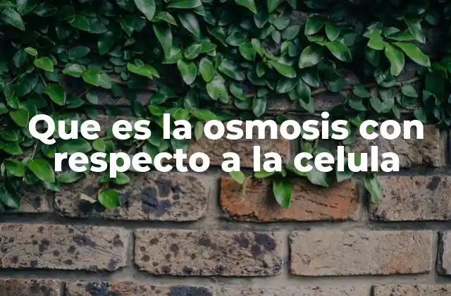 El equilibrio hídrico en el entorno celular