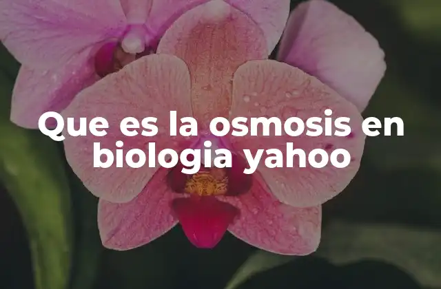Que es la Osmosis en Biologia Yahoo