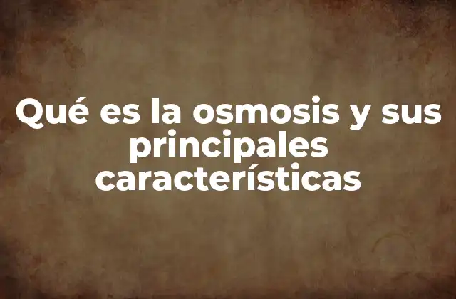 El movimiento del agua y su importancia en los seres vivos
