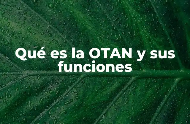Qué es la Otan y Sus Funciones
