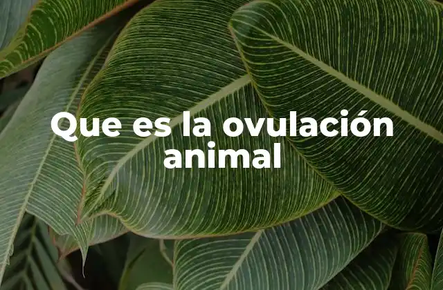 Que es la Ovulación Animal