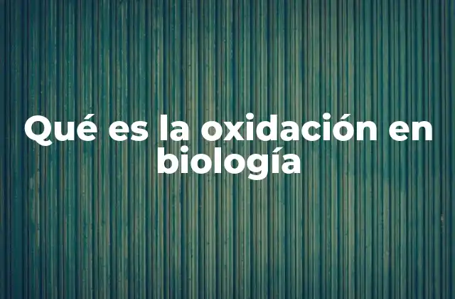 Qué es la Oxidación en Biología