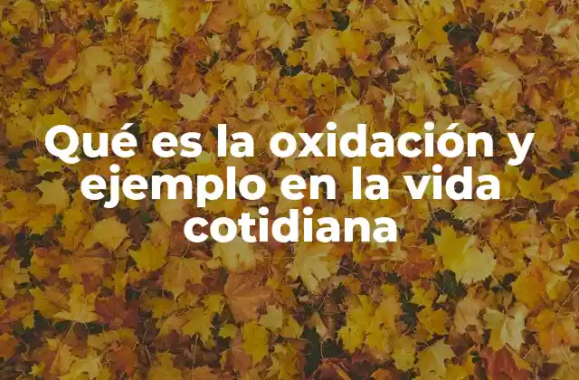Qué es la Oxidación y Ejemplo en la Vida Cotidiana