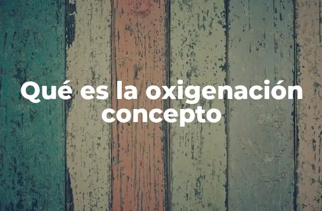 Qué es la Oxigenación Concepto 2 El proceso de oxigenación en el cuerpo humano