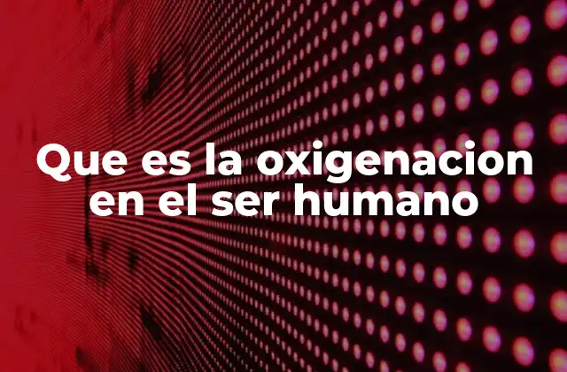 Que es la Oxigenacion en el Ser Humano