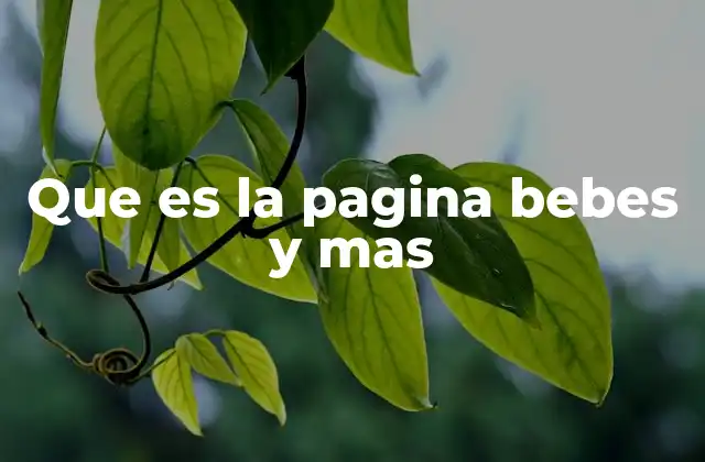 Que es la Pagina Bebes y mas