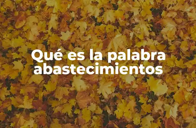 Qué es la Palabra Abastecimientos