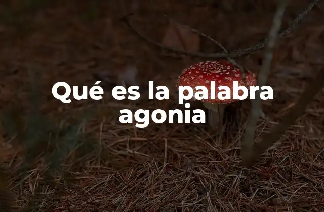 Qué es la Palabra Agonia